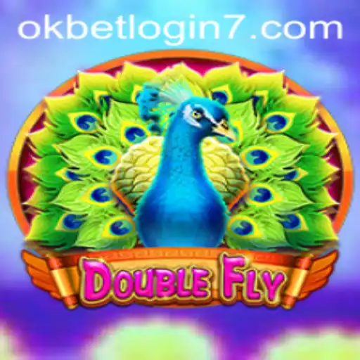 Exploring DoubleFly: A Comprehensive Guide